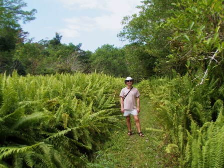 Bates in Fern Gully